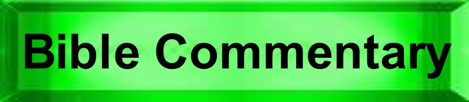 Bible Commentary