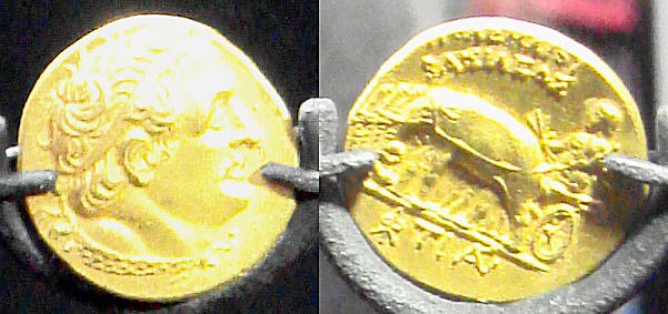 Ptolemy I Soter