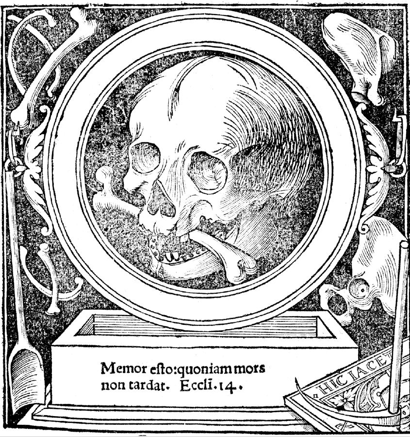 Skull and Bone