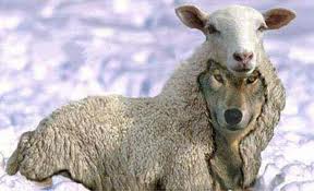 wolf in sheep clothing