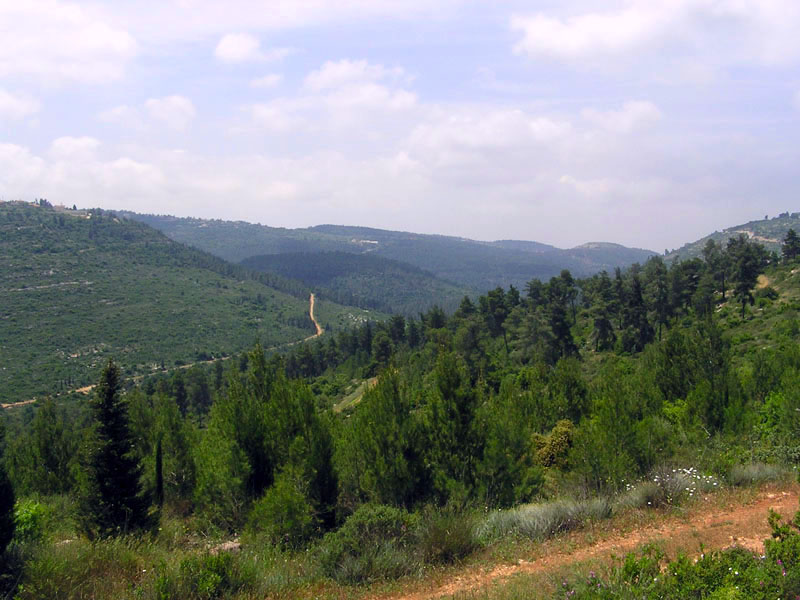 Judean Mountains