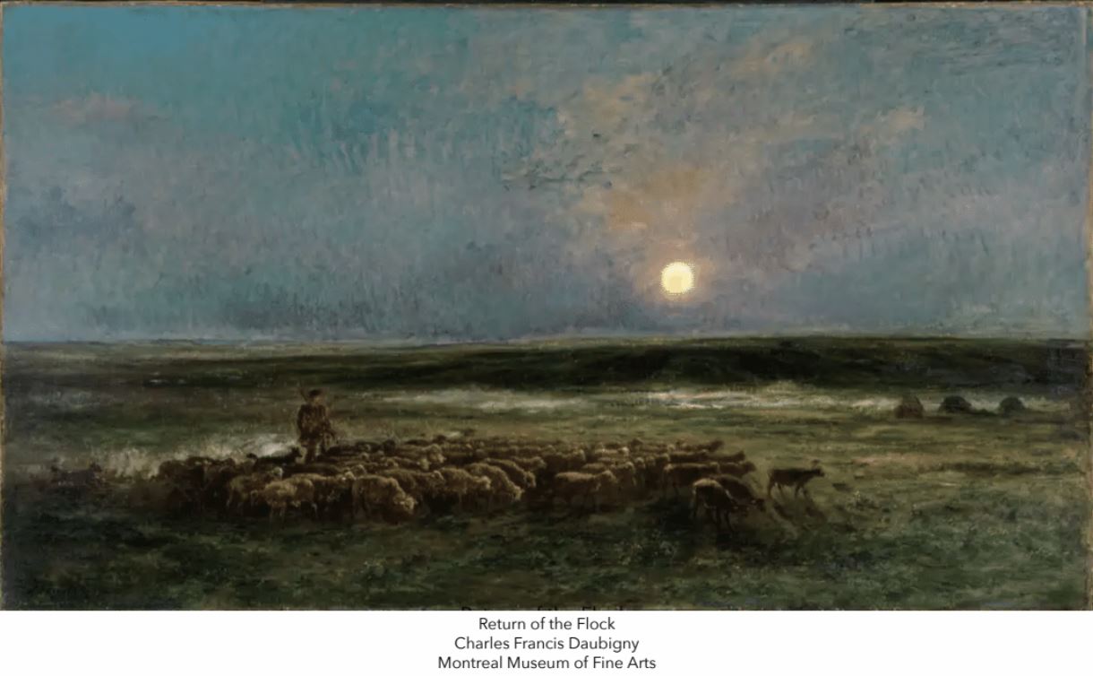 Return of the Flock