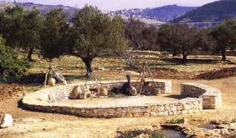 Threshing floor