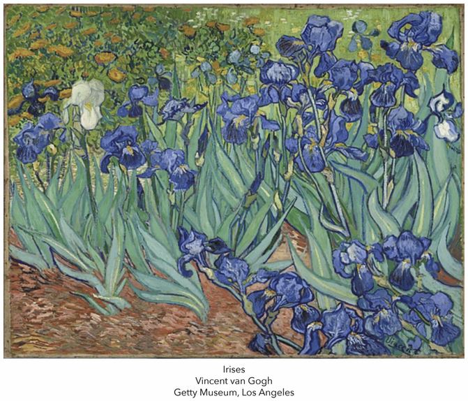 Irises