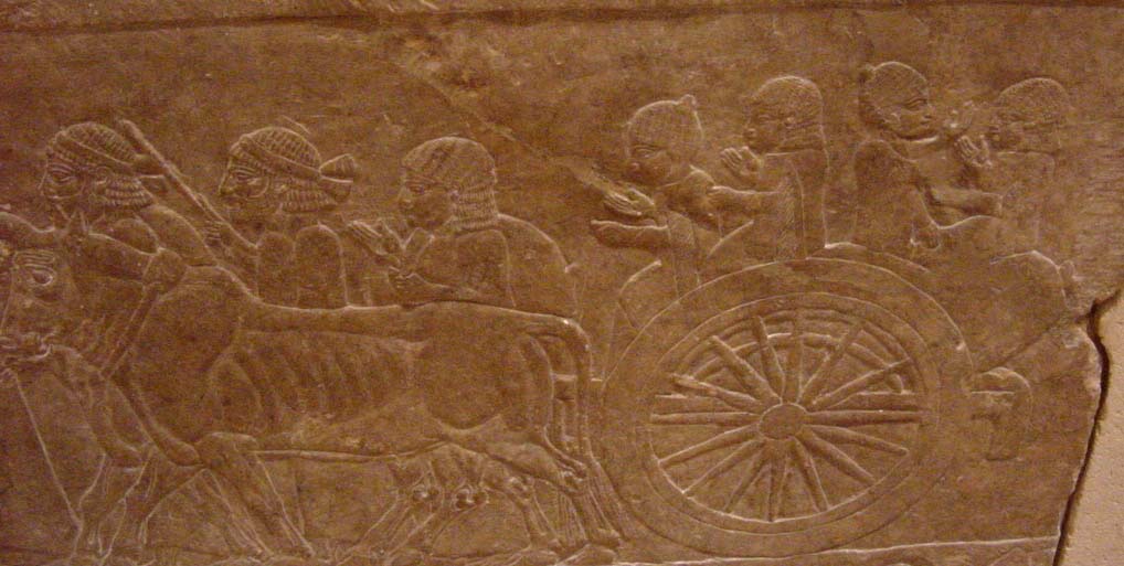 Nineveh Prisoners
