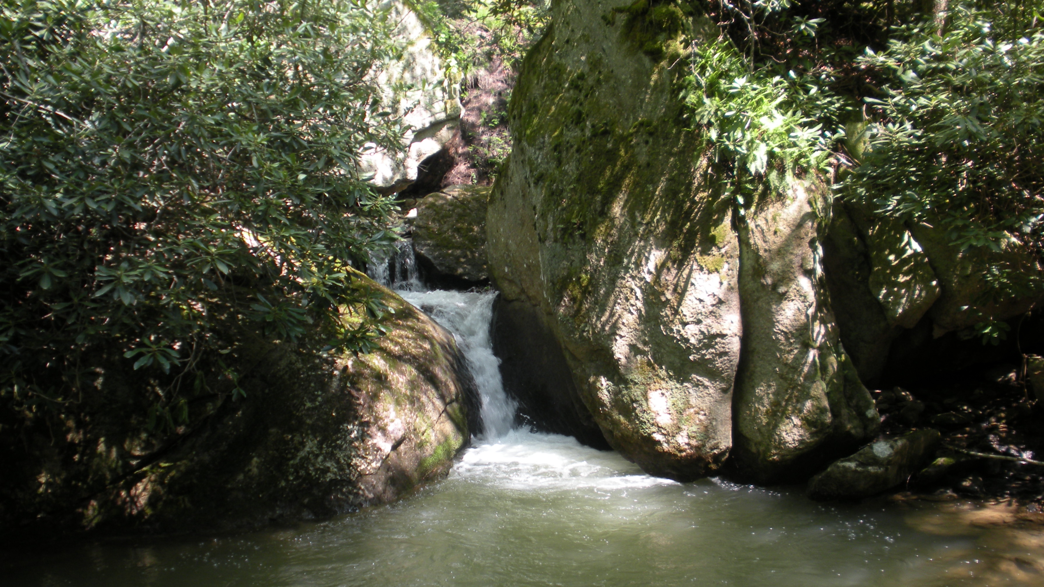 The Fountain