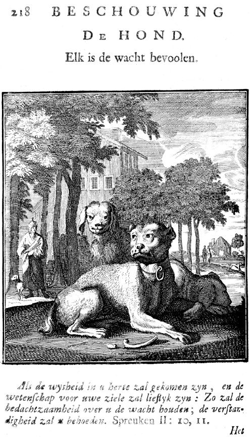 The Dog: The Guard Is Recommended to Everyone