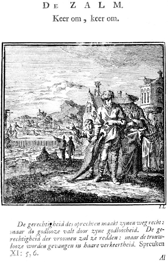 The Salmon: Turn Around, Turn Around