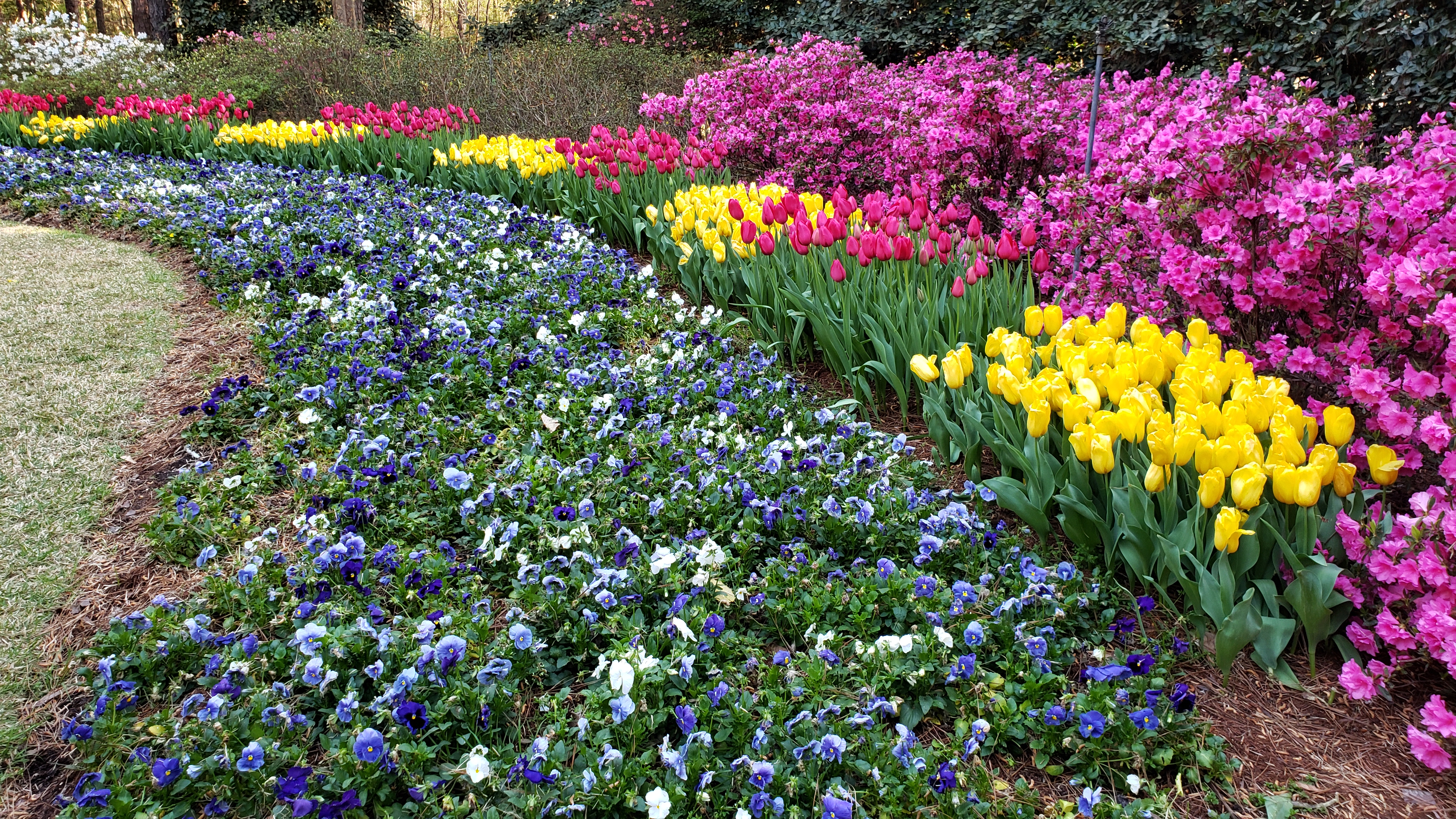 Spring