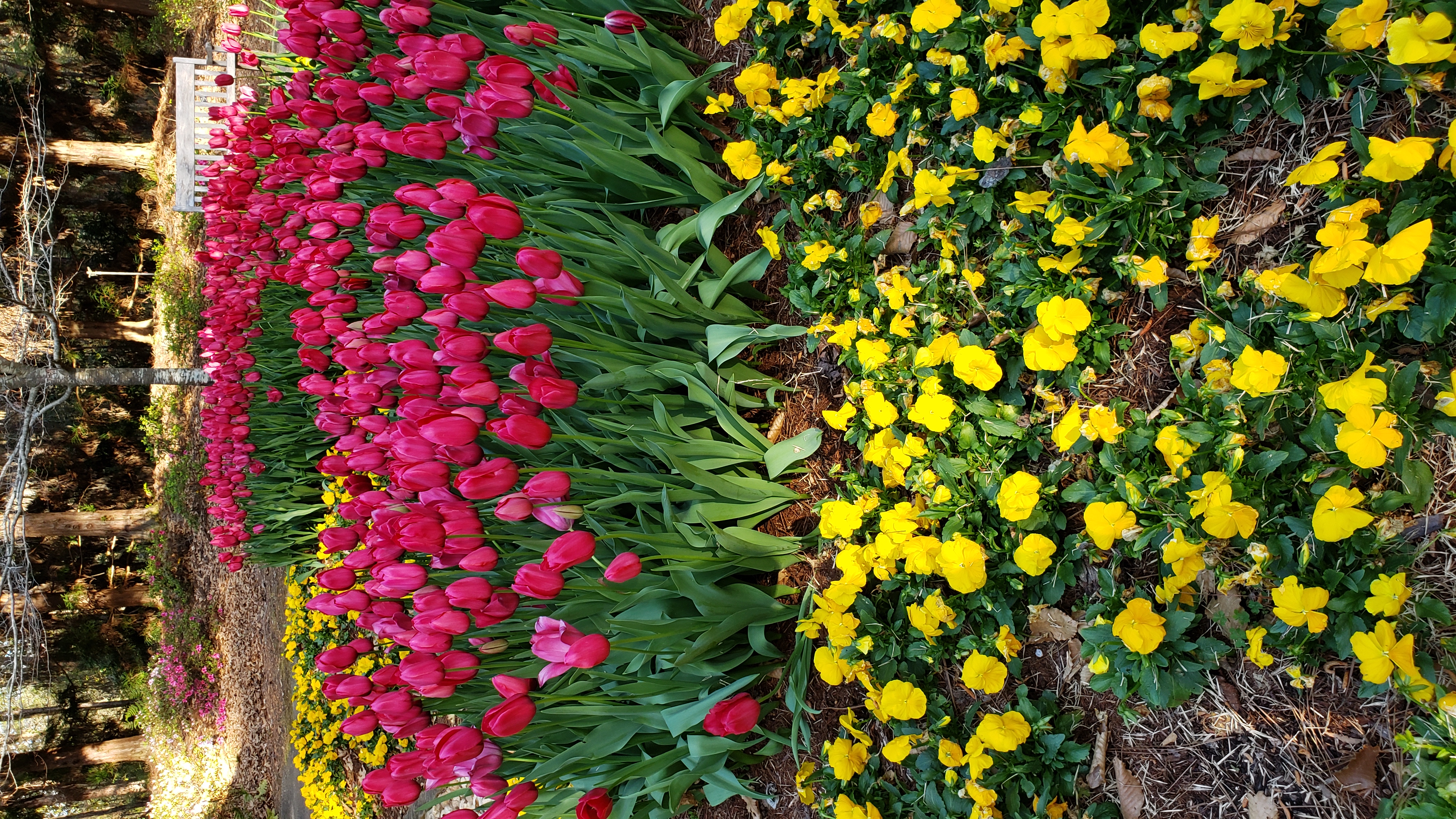 Spring