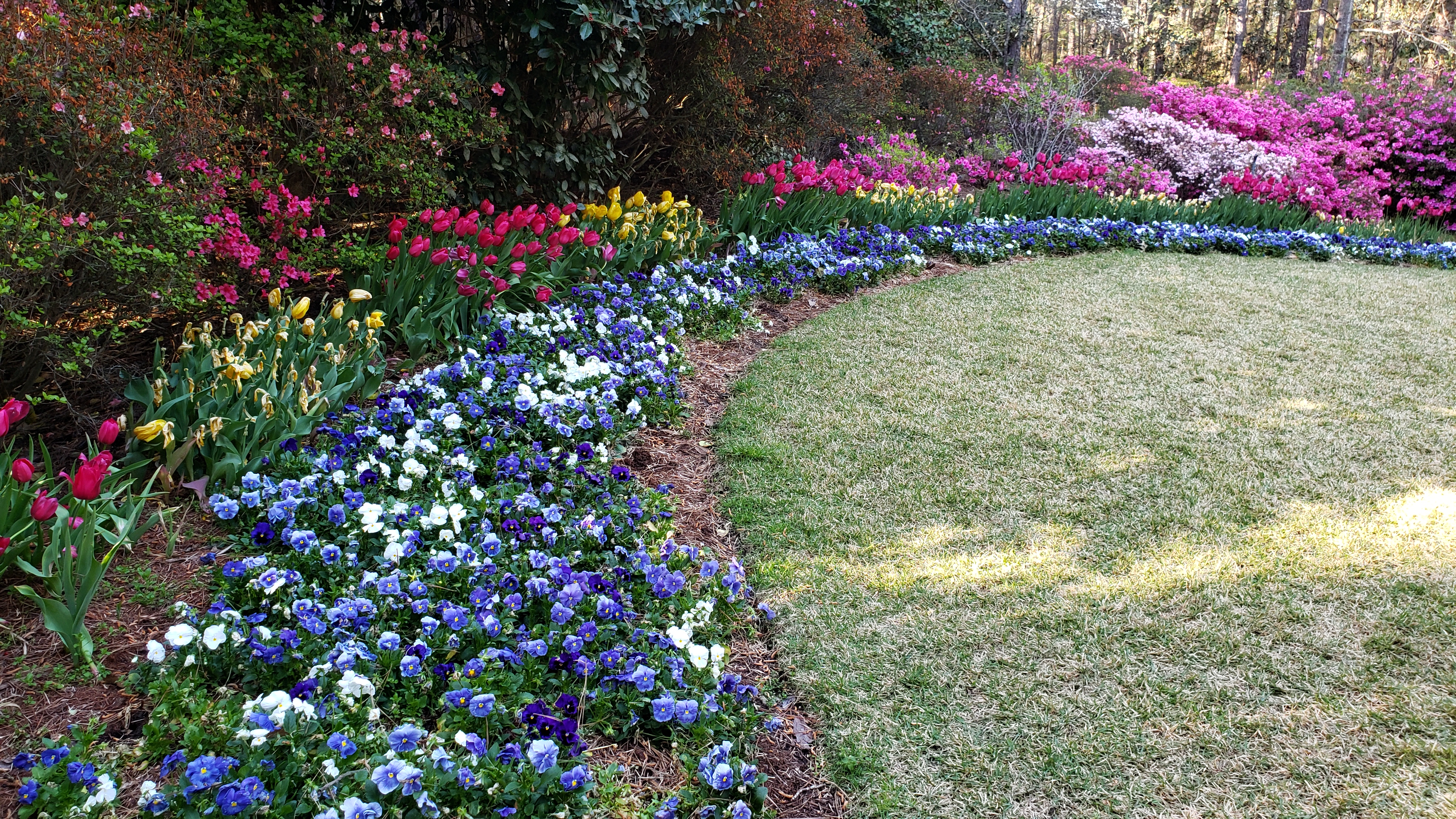 Spring